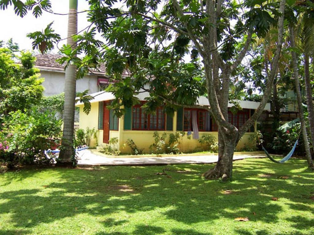 Yellow Bird Sea Negril Exterior foto